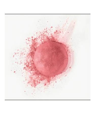 Bourjois Baked blush depuis 1863 Blusher - Buy Online on GoSupps.com
