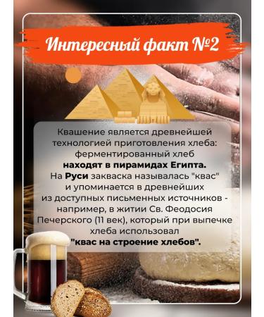 Useful Party Levito Madre eternal sourdough - Buy Online on GoSupps.com