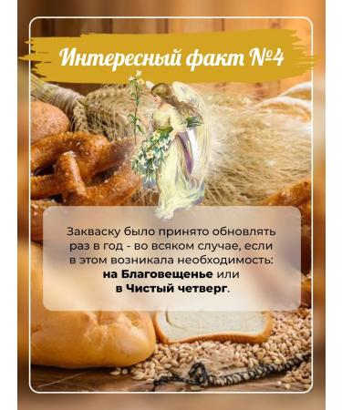 Useful Party Levito Madre eternal sourdough - Buy Online on GoSupps.com