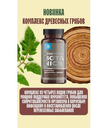 Health and beauty of Siberia Complex of wood mushrooms 60 kapsul - Buy Online on GoSupps.com