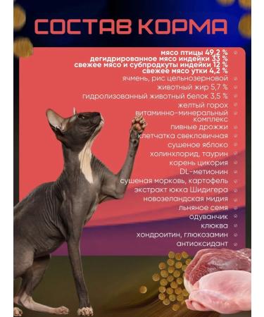 Brit Dry food for fastidious cats 1.5 kg - Buy Online on GoSupps.com