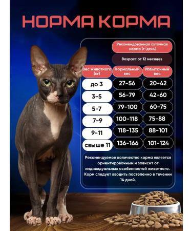 Brit Dry food for fastidious cats 1.5 kg - Buy Online on GoSupps.com