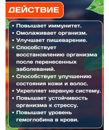 Shri Ganga Amla amla antioxidant source of vitamin C 200 tab - Buy Online on GoSupps.com