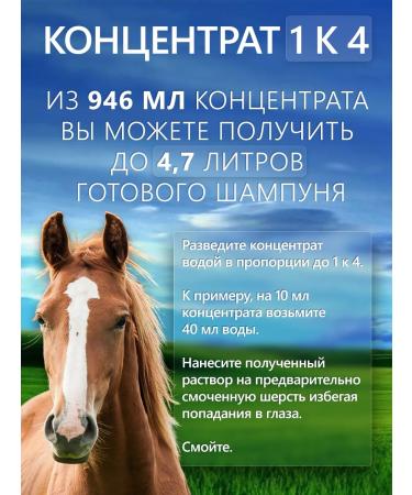 BioGroom Shampoo concentrate 1k 4 946 ml - Buy Online on GoSupps.com