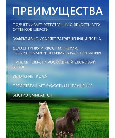 BioGroom Shampoo concentrate 1k 4 946 ml - Buy Online on GoSupps.com