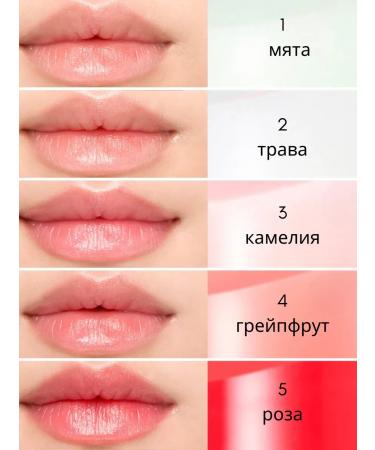 Nature Republic Peppermint Balm for Lip with Mint 4 gr. - Buy Online on GoSupps.com