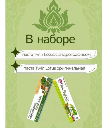 TWIN LOTUS Set of Thai toothpasts without fluorine 100 g*2 pcs - Buy Online on GoSupps.com