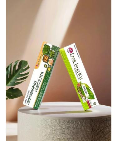 TWIN LOTUS Set of Thai toothpasts without fluorine 100 g*2 pcs - Buy Online on GoSupps.com