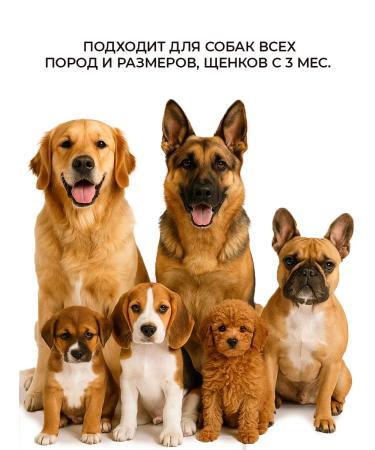 Nord Farm Dog's treats meat paws - Buy Online on GoSupps.com