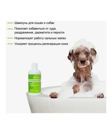 Globalvet Shampoo for cats and dogs with birch tar 250 ml - Buy Online on GoSupps.com