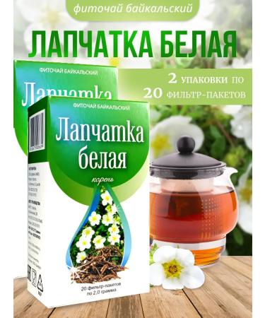 Sage Lapceta white root 2 pcs. Healing herbs