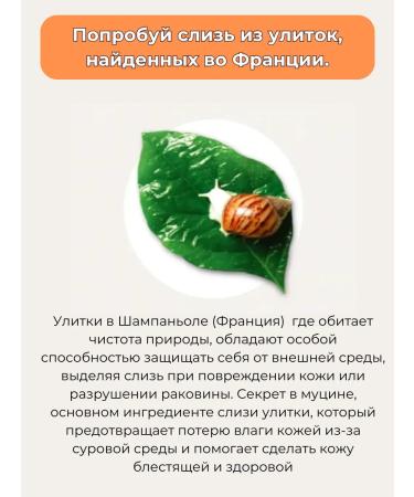 Nature Republic Anti -aging face cream with snail mucin 52ml - Buy Online on GoSupps.com