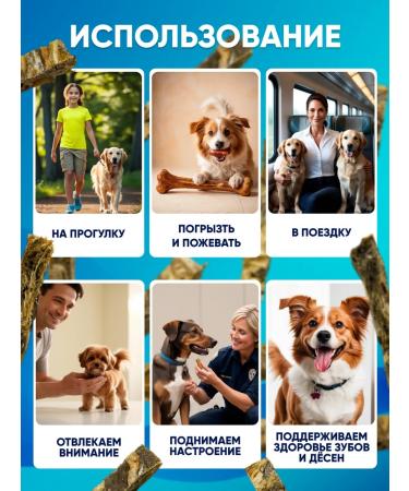 PetFam Treat for dogs leather cod 1 kg sticks for training - Buy Online on GoSupps.com