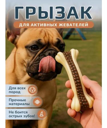Dog toy - chewing bone
