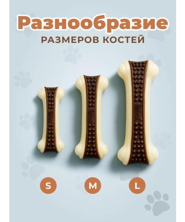Dog toy - chewing bone - Buy Online on GoSupps.com