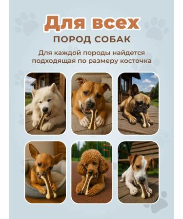 Dog toy - chewing bone - Buy Online on GoSupps.com