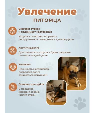 Dog toy - chewing bone - Buy Online on GoSupps.com