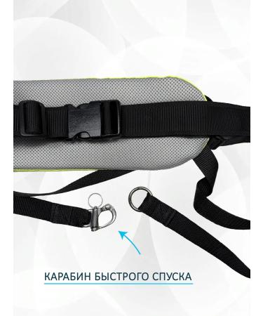 totemicaws Belt for the Kanicars and Svobzhoring "Neon" with self -disclosure - Buy Online on GoSupps.com