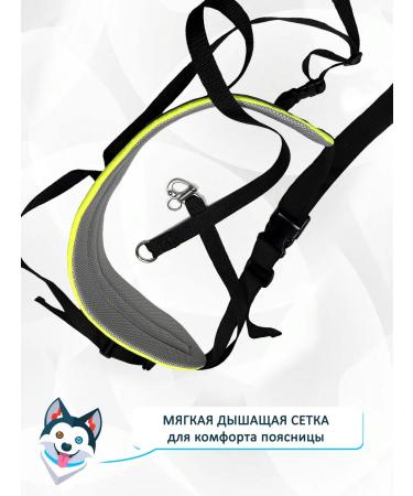 totemicaws Belt for the Kanicars and Svobzhoring "Neon" with self -disclosure - Buy Online on GoSupps.com