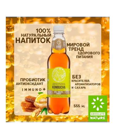 KOMBUCHA IMMUNO Drink on tea mushroom "Ginger-Med Lemon" 0.555l 12 pcs - Buy Online on GoSupps.com