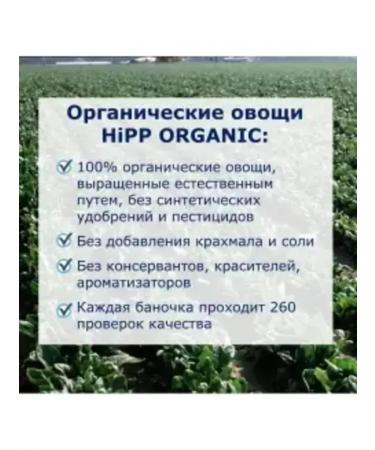 Hipp Broccoli puree - from 4 months 80g. -6pcs - Buy Online on GoSupps.com