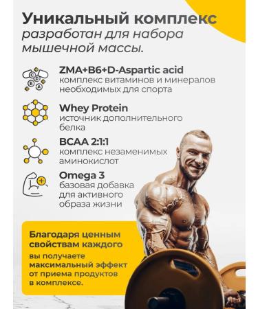 VitaMeal Protein Whey Cocktail Protein - Buy Online on GoSupps.com
