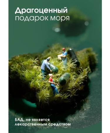 Tiens/Tiens Spirulin in the capsules "Tienshi" - Buy Online on GoSupps.com