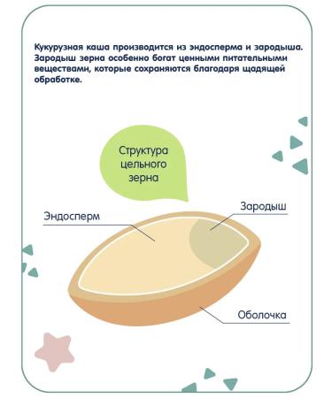 Fleur Alpine Porridge is a dairy children's corn from 5 months 2 pcs. 200 g each - Buy Online on GoSupps.com