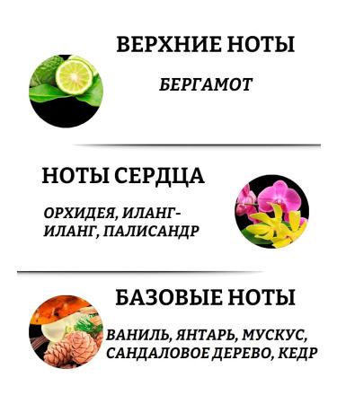 Tesori d'Oriente Shower gel "Madagascar vanilla and ginger" 500 ml - Buy Online on GoSupps.com