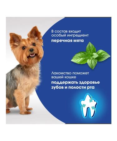 PERFECT FIT A treat for the teeth of small dogs beef mint 90 g - Buy Online on GoSupps.com