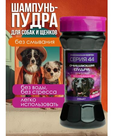 Episode 44 Dry shampoo for dogs without washing