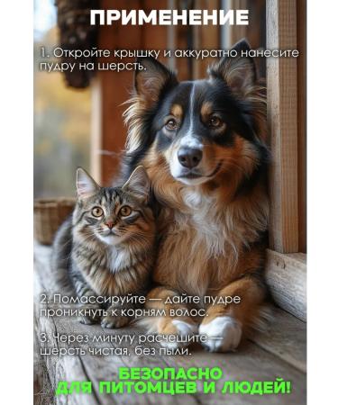 Episode 44 Dry shampoo for dogs without washing - Buy Online on GoSupps.com