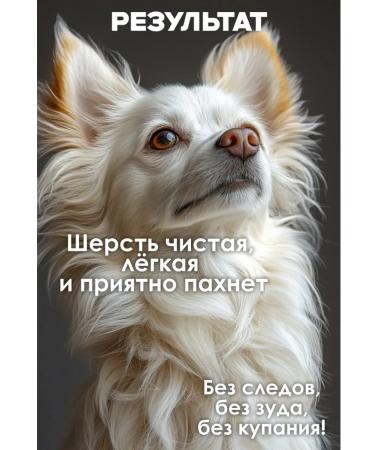 Episode 44 Dry shampoo for dogs without washing - Buy Online on GoSupps.com