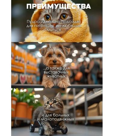 Episode 44 Dry shampoo for dogs without washing - Buy Online on GoSupps.com