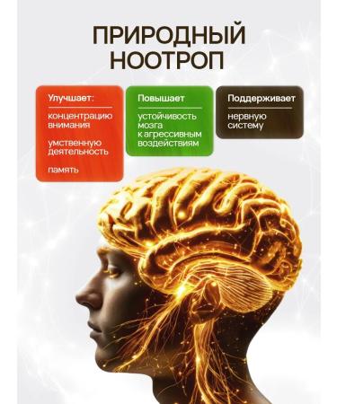 LoveMyBelly Lion's Mane - Buy Online on GoSupps.com