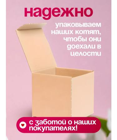 BIG MIX Handmade soap kitten - Buy Online on GoSupps.com