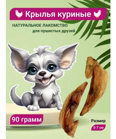 Wings dry chicken 90 grams Ricci