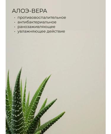 RudLine Soap foam perfumed for Hayati hands 1000 ml - Buy Online on GoSupps.com