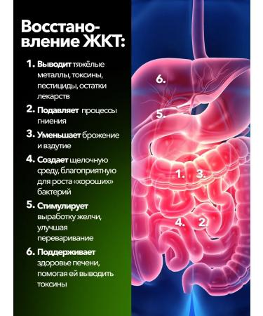 SPORT TECHNOLOGY NUTRITION Chlorophyll liquid for weight loss and detox 20 pcs x 25 ml - Buy Online on GoSupps.com