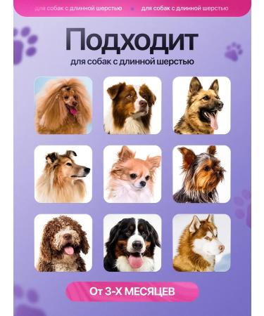 KometaPET Container shampoo for dogs with long wool 450 ml - Buy Online on GoSupps.com