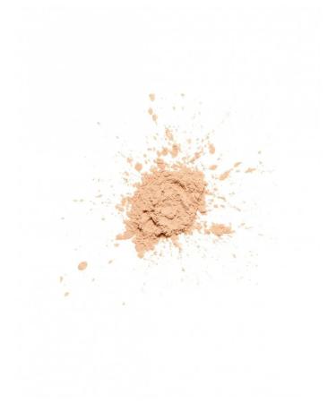 Influence Beauty Brown powder for the face Zero Gravity tone 01 - Buy Online on GoSupps.com