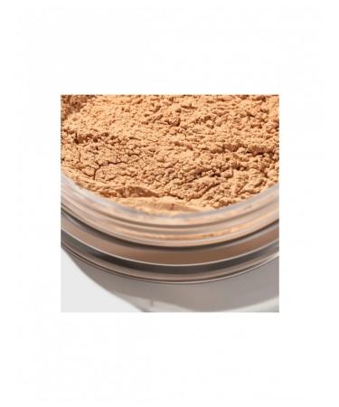 Influence Beauty Brown powder for the face Zero Gravity tone 01 - Buy Online on GoSupps.com