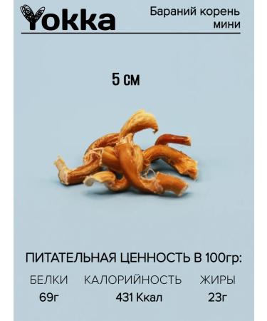 Yokka Goodies for dogs Barani root mini 40g - Buy Online on GoSupps.com