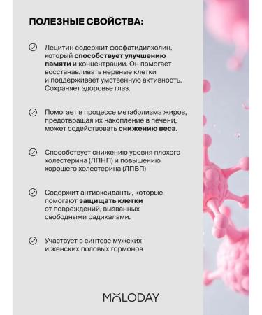 YOUNG PEOPLE Sunflower lecithin in capsules 90 capsules - Buy Online on GoSupps.com