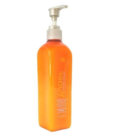 Angel Professional Professional Silphane shampoo for painted 250 ml - Buy Online on GoSupps.com