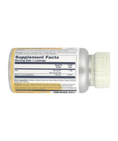 Solaray Folic acid vitamin B12 1000 mg 90 loafers - Buy Online on GoSupps.com