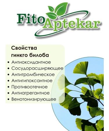 PHYTOAPTHECARIAN Ginkgo biloba sheet 250 gr - Buy Online on GoSupps.com