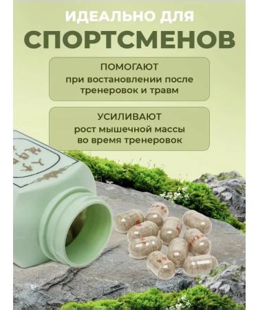 GINSENG Weight and mass sets - Buy Online on GoSupps.com