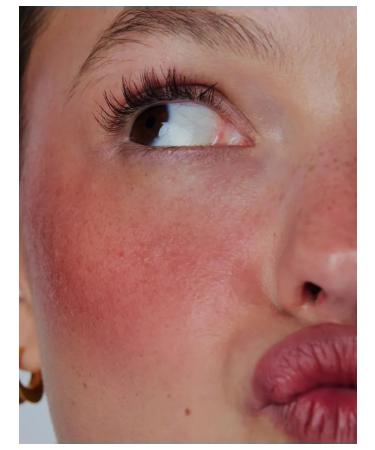 Rhode Blue toasted Teddy - Buy Online on GoSupps.com