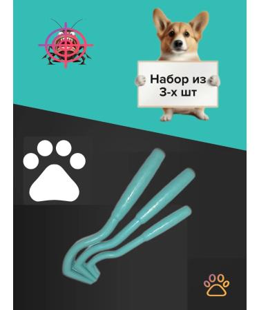 Dude Set of ticks for dogs